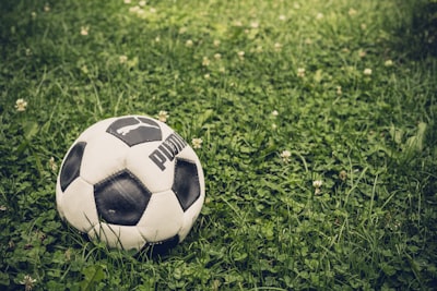 نتائج مباريات اليوم الدوري المصري مباشر اليومتحديثات حية وأهداف المباريات